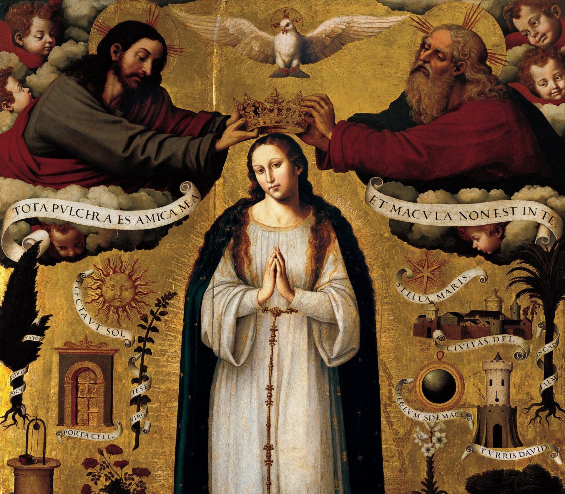 Imaculada Conceição de Maria (em breve)
